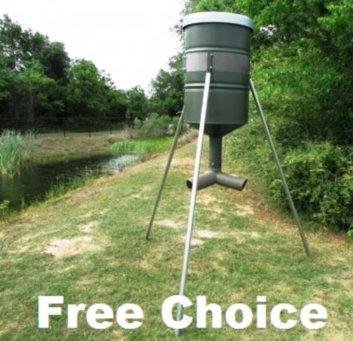 Feeders Huntsports